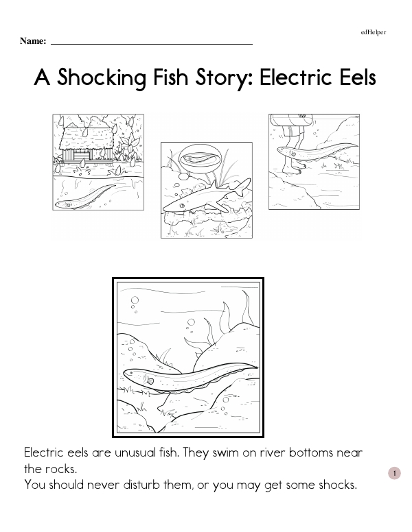 A Shocking Fish Story: Electric Eels