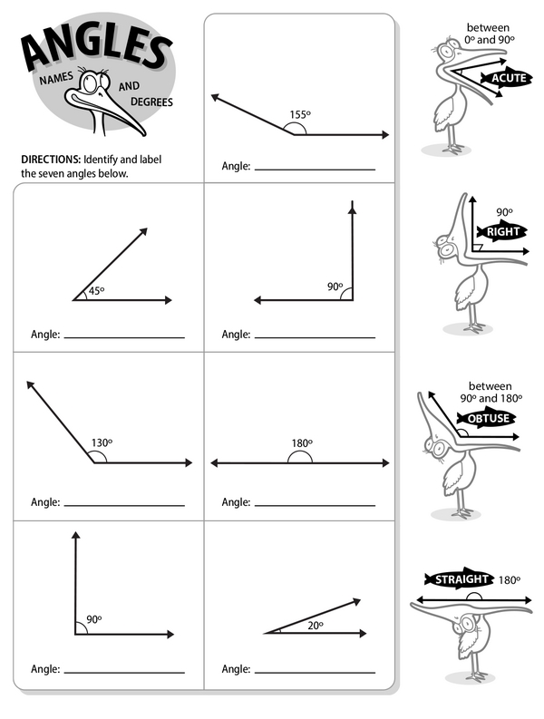 Identifying and Labeling Various Types of Angles: Classifying Acute, Right, Obtuse, and Straight Angles