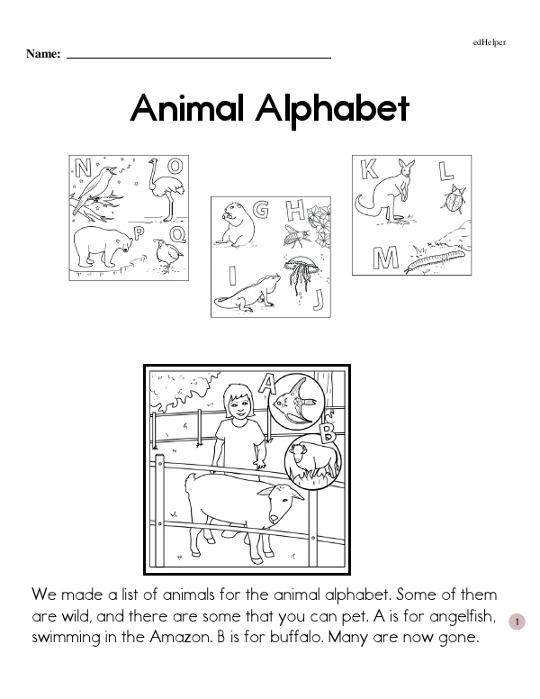 Animal Alphabet