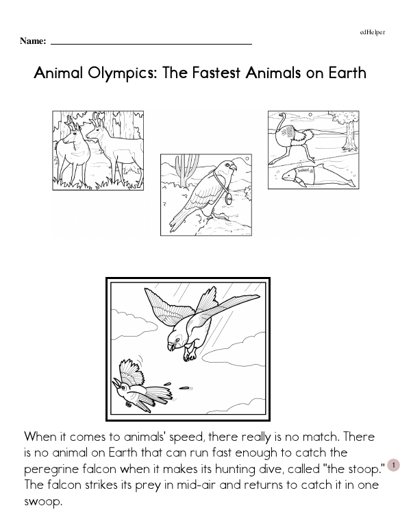 Animal Olympics: The Fastest Animals on Earth