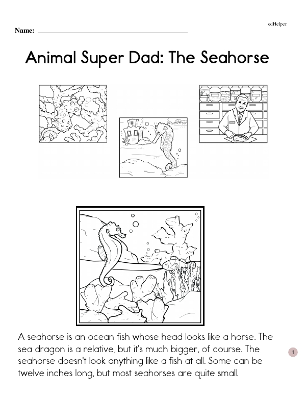 Animal Super-Dad: The Seahorse