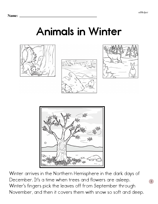 Animals in Winter