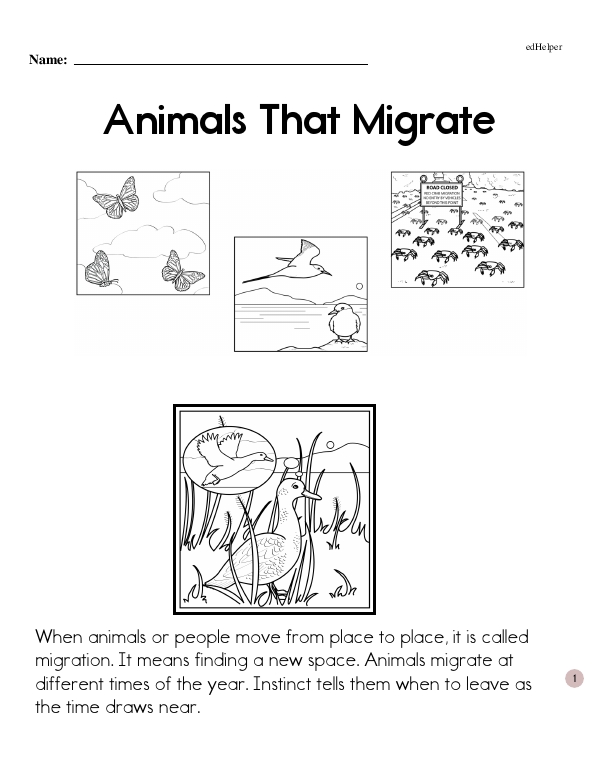 Animals That Migrate