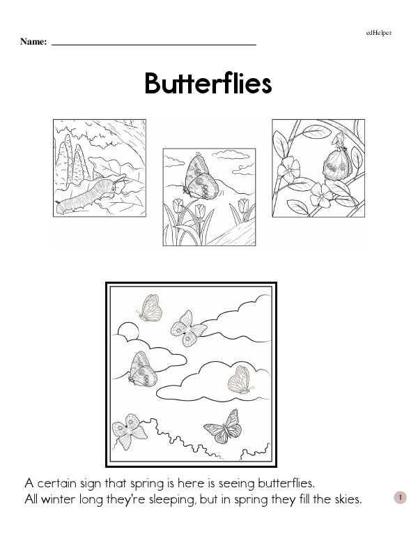 Butterflies