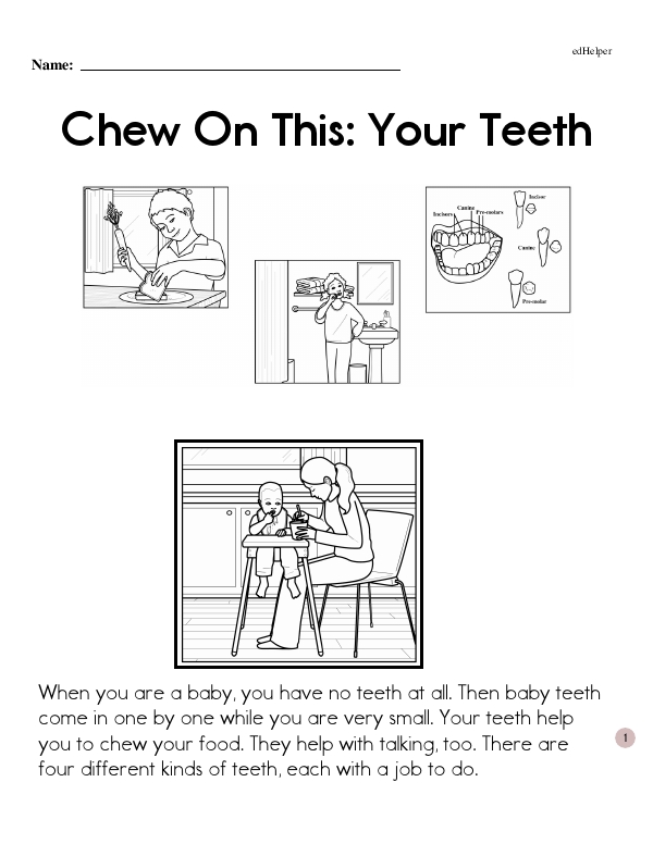 Chew On This: Your Teeth