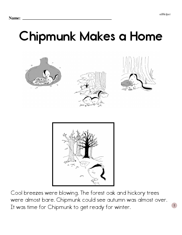 Chipmunk Makes a Home