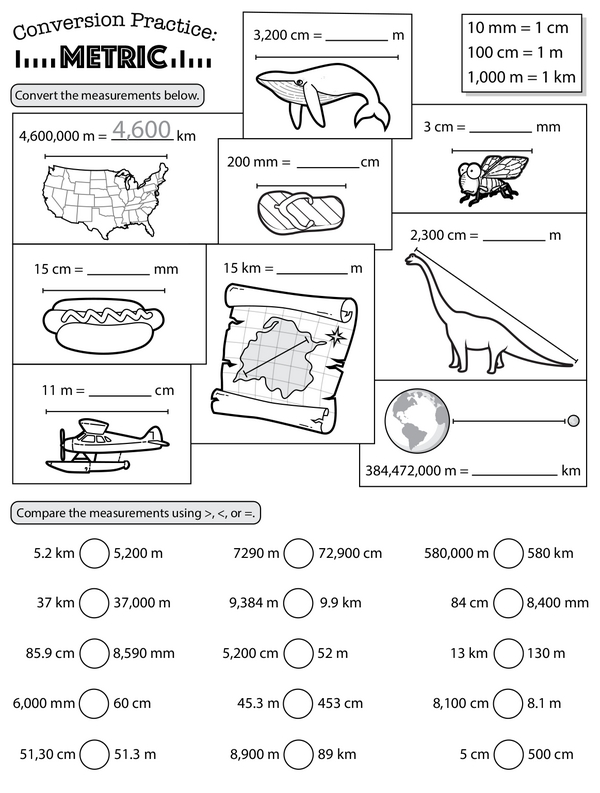 Converting and Comparing Metric Units