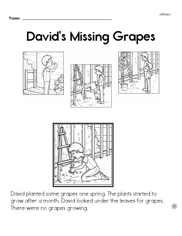 David's Missing Grapes