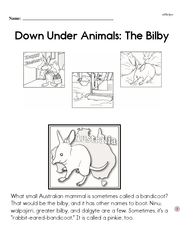 Down Under Animals: The Bilby