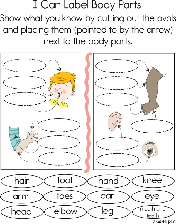 I Can Label Body Parts - Body Part Recognition Activity for Kids