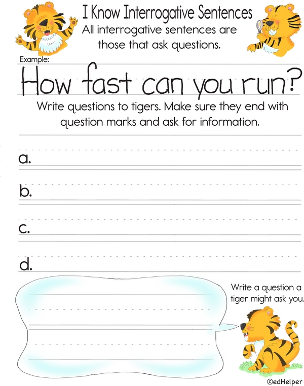 Interrogative Sentences: Learn Question Formation with Fun Tiger Theme