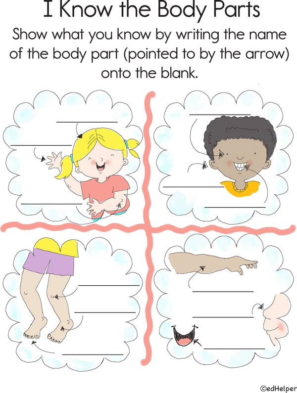 Anatomy Challenge: Identify Labeled Body Parts