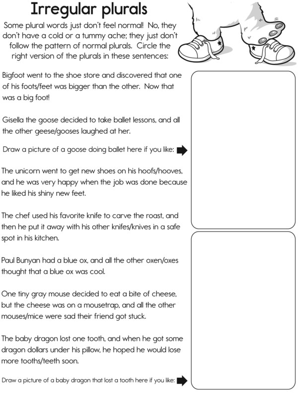 Identifying the Correct Spelling of Irregular Plurals