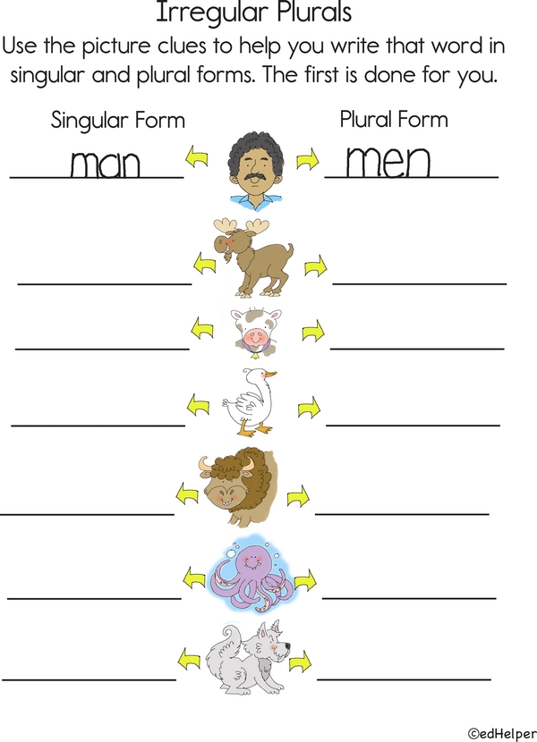 Cracking the Plural Code: Irregular Plurals