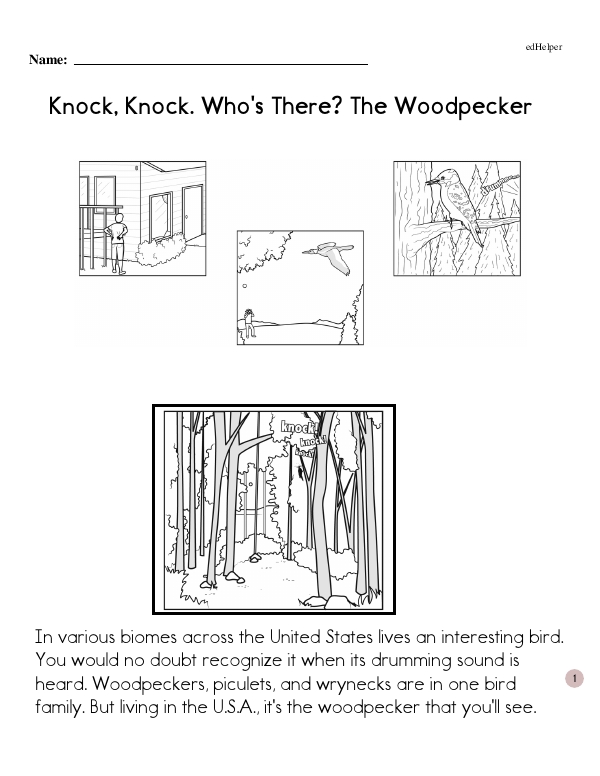 Knock, Knock. Who's There? The Woodpecker