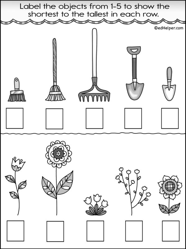 Sorting Sizes: A Workbook for Comparisons