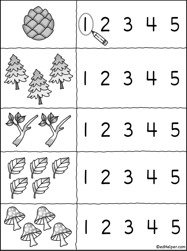 Circling Fun: A Counting Workbook