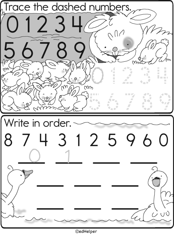 Counting Champs: A Fun Workbook for Numbers