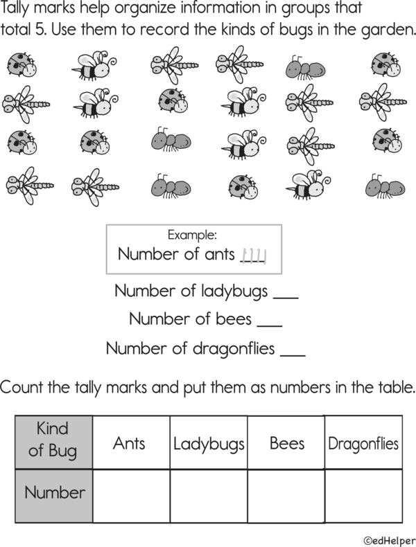 Organizing Like A Pro: A Workbook for Visualizing Data