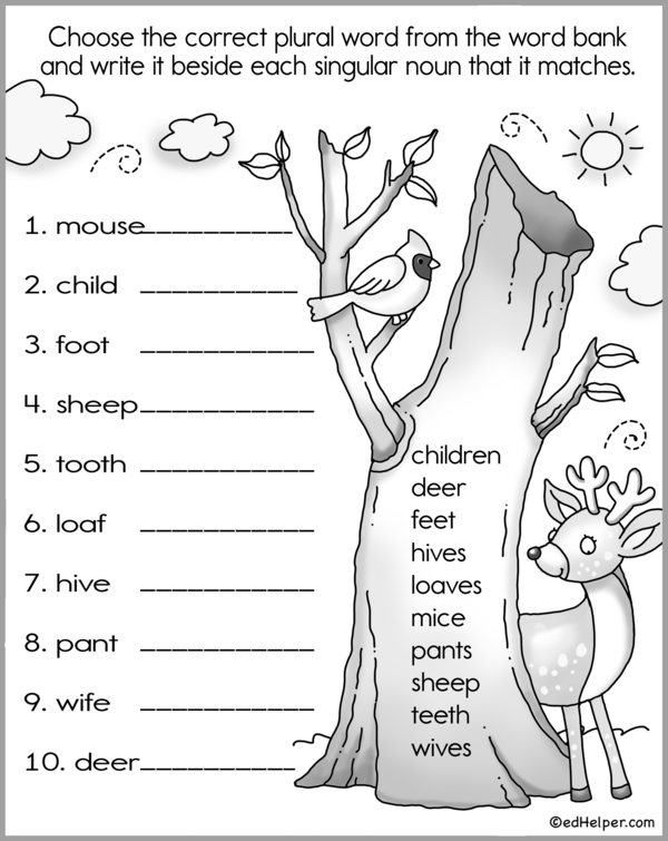Mastering Plural Nouns: Simple Rules and Practice - Workbook # 4