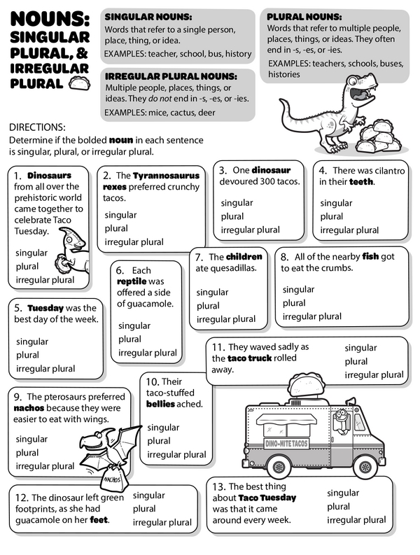 Understanding Singular, Plural, and Irregular Plural Nouns