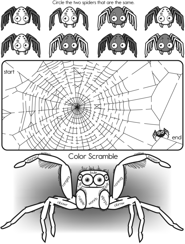 Spiders, Pizzas, and Meteorites: A Fun Math Puzzle Workbook