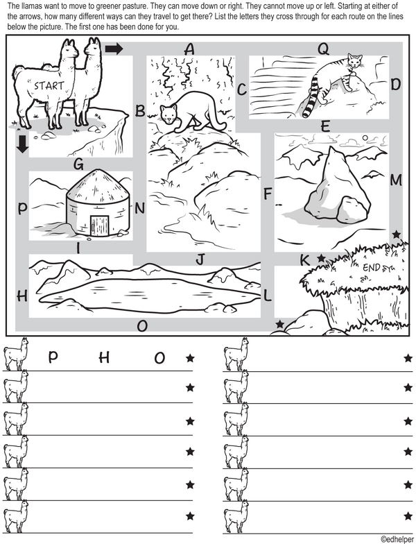 Math Quest: A Workbook for Graphs, Fractions, and Shapes