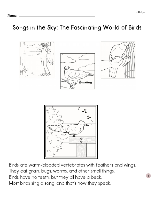 Songs in the Sky: The Fascinating World of Birds