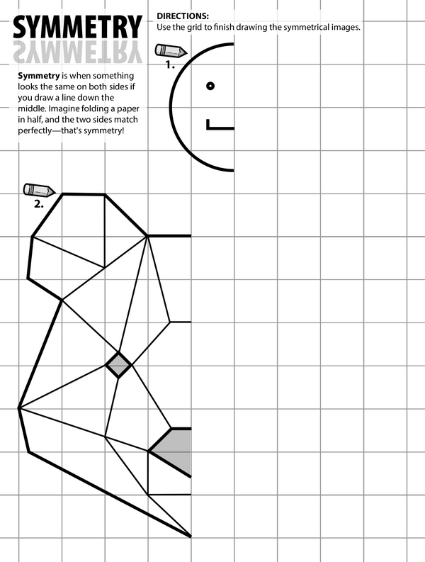 Mastering Symmetry: Completing the Other Half of a Picture