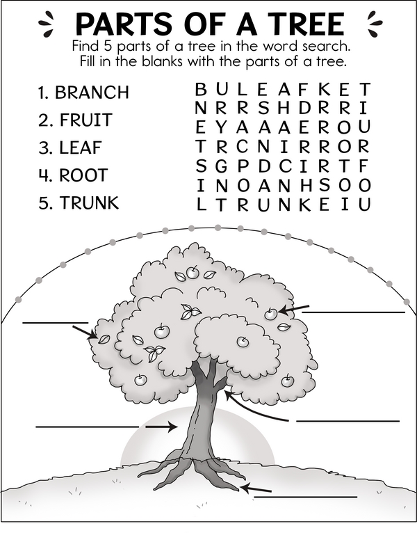 Exploring the Anatomy of a Tree: Tree Parts Word Search