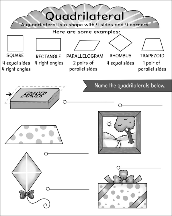 Type Of Quadrilaterals